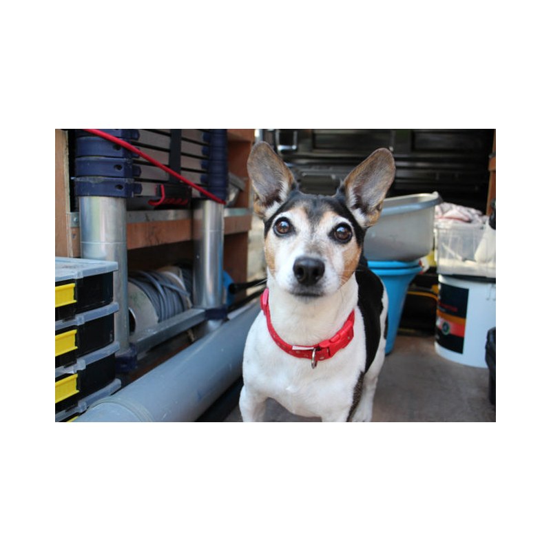 Power Plumbing & Heating